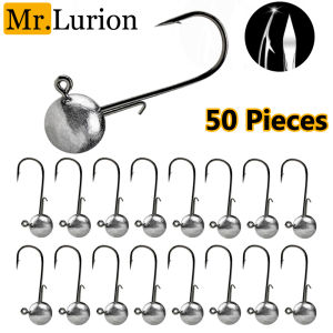 MrLurion 1g 2g 3g 4g -20g Mixed Weighted Weedless Fishing jig head hooks  Crank fish hooks for Bass Trout Pike and Perch Gear