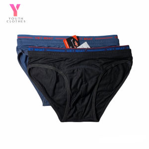 Combo 2 quần lót tam giác Việt Nhật cotton quần sịp chéo nam quần lót của nam co giãn 4 chiều chất liệu cao cấp mềm mại