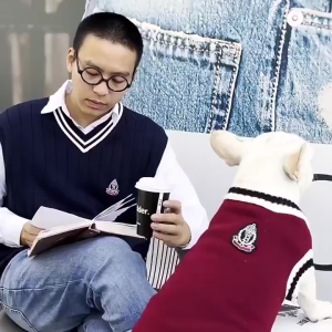Pet Christmas Clothes Dog Cat Sweater Style V-neck Striped Vest Pet Warm Clothes Dog Costume
