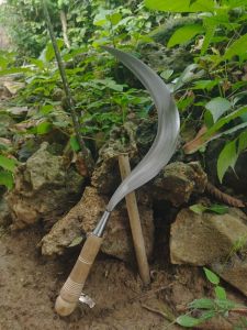 Arit rumput model landur asli buatan Madura cocok untuk potong rumput atau padi dan semak belukar