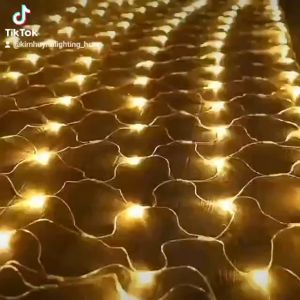 Lưới đèn LED đèn lưới mắt cáo lưới cá chống nước trang trí Giáng sinh lễ Tết