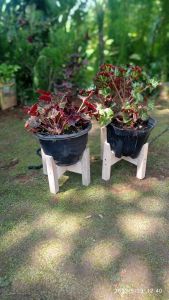 RAK POT TANAMAN /STANDING POT KAYU (S)