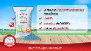 เคมีปูดิบ 16-16-16 ตรากระต่าย BLUE เม็ดสีฟ้า - สูตร จัดส่งฟรี