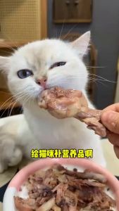 YTL ขนมสุนัข ขนมขัดฟันสุนัข เนื้อเป็ดคุณภาพสูง อาหารเสริมโปรตีน รสชาติอร่อย ธรรมชาติ 100% ไม่มีสารปรุงแต่ง