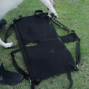 HamshMoc Pet Assist Harness Dog Support Sling With Handle For Senior Injured Dogs Lifting Aid Mobility Helper