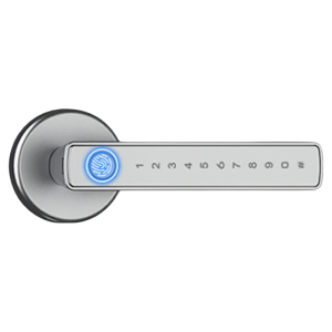 FALEISTON | Biometric Fingerprint and Code Door Lock Interior Wooden Door