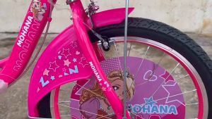 ยานเด็ก ขนาด 20 นิ้ว/ รุ่นเจ้าหญิง Princess/ ผ้าเฟรมเหล็ก แข็งแรง ไม่มีปัญหายาง/ เพราะเหมาะสำหรับเด็ก 7 ขวบขึ้นไป มอก.ราคา: ฿685-2540