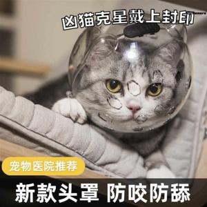 Space Suit Cat Bite Prevention Necklace Breathable Kitty Protection Hood Elizabethan Collar for Cats Pet Home Supplies