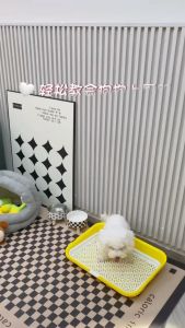 Tiger & Mimi Dog Toilet Tray Training Puppy Potty Trainer Pee Urine Cleaning 狗狗网格平板厕所