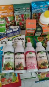มาโมมิกซ์บลู มาโมมิกซ์เร้ด มาโมมิกซ์กรีน มาโมมิกซ์พิงค์ มาโมมิกซ์โกลด์ แคลเซียมโบรอน เปิดตาดอก น้ำตาลทางด่วน แมกนีเซียม ปรับPh ขนาด 12 ขวด