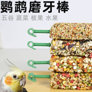 Parrot Snacks Chew Toys Grain Fruit Vegetable Bird Food Training Reward Special Nutritional Pellets Parakeet Training Supplies