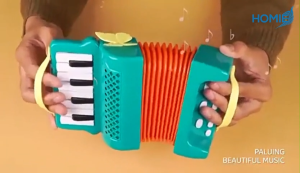 ACCORDION MUSICAL INSTRUMENT TOY early education developmental music toddler kids perfect toy