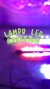 Lampu Aquarium Akuarium Aquascape LED Celup 20cm 30cm 40cm Warna Warni RGB