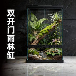 Tailwise | Glass Terrarium for Turtles Bearded Dragons Geckos Snakes Rainforest Eco-system Full Set