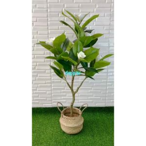 Pohon Hias Tanaman Artificial Magnolia T120 Latex Cover Pot Anyaman Purun Belly Panjangan Sudut Ruang Tamu