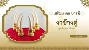 งาช้างคู่ เรซิ่น>งานช้างสีขาว>เสริมฮวงจุ้ย มงคล บารมี>ประดับโต๊ะพระ หิ้งพระ สวยงาม