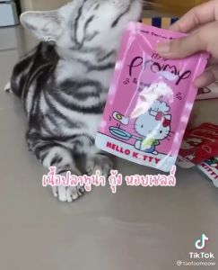 Pate Hello Kitty Pramy ThaiLand 70g FREE SHIP Thức Ăn Nhập Khẩu Cho Mèo