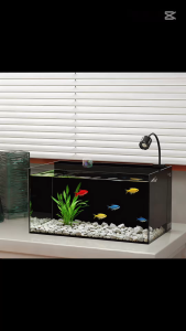 Crystal Glass Fish Tank | Desktop Ecological Aquarium Tank Set with Filter Pump & LED Light