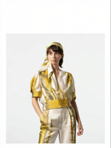 Early Autumn Printed V-Neck Puffed Sleeve Blouse