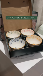 HAVN Living Japanese Ceramic Bowl Set Cheerful Blooms Design Premium Dinnerware with Gift Box (Birth