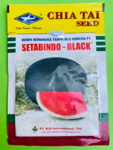 Benih semangka Hibrida f1 SETABINDO BLACK isi 20gram dari BISI F