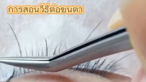 ขนตาปลอม ต่อขนตา แบบยาว เป็นธรรมชาติ ขนนิ่ม 12แถว เบา นุ่ม พร้อมส่ง