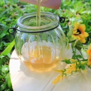 Madu Salam Madu Pahit Asli Bangka Belitung