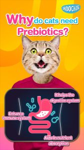 Moochie Wet Cat Treat Tuna Mousse 70g Pouch: Nutritious Cat Mousse & Wet Cat Treats