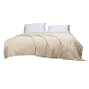 TAIHU SNOW | Upgraded Cool Summer Silk Quilt