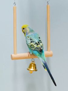 Bird Swing with Ringing Bell: A Comfortable & Fun Perch for Your Feathered Friends