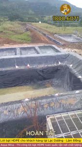 Bạt lót ao hồ HDPE 5m x 9m dày 0.5mm bảo hành 5 năm