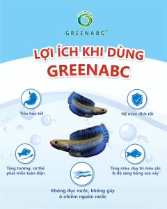 Thức ăn Cá Lóc Cảnh GREENABC - Channa Fish – Hàm lượng protein 40% giúp tăng trưởng nhanh lên màu đẹp màu sắc rực rỡ - Hộp 350g