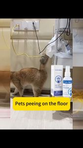 [99.9% deodorization] pet deodorant spray 50ml pet area deodorizer odour remover deodorizer spray for pet odour eliminator for pet smell remover spray freshener