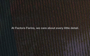 Natural Factors - Chewable Natural GABA 100 mg High Absorption Stress Relief (60 Tablets)