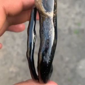Gelang Akar Bahar Hitam Bonggol Size Telunjuk Sedang