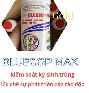 Giảm rong mé cắt tảo ngừa nấm cho ao tôm - BLUECOP MAX (chai 1 lít) - CÔNG TY TNHH VICOM