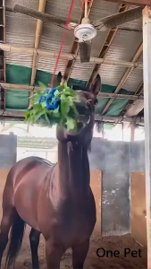 Hanging Horse Hay Feeder Durable TPR Horse Treat Ball Sheep Feed Feeding Toy For Horses Play