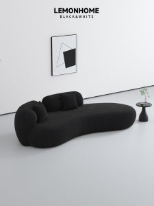 Nordic Minimalist Arc Sofa Living Room Vacation Home Clothing Store Beauty Salon Rest Area Reception Creative Popular Model