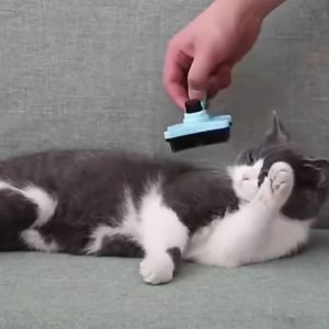 【Ready】Sikat Sisir Bulu Kucing Anjing Kelinci SISIR BULU TOMBOL RAMBUT GUMPAL OTOMATIS Pet Groooming pet hair removal