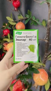 Viên uống bổ não Evalar Ginkgo Biloba rau má Nga (40 viên)