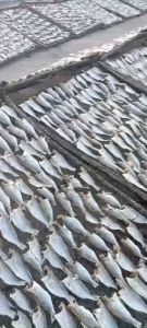 Khô Cá Đổng Tràm Nguyên Con Loại Lớn Thịt Thơm Béo - 500gram - Khô Cá Đổng Tràm Cà Mau