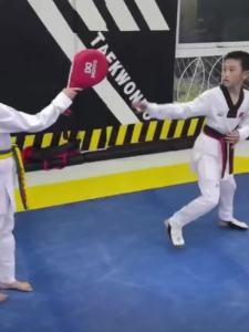 Đồng phục taekwondo cotton thuần cho trẻ em tập luyện người mới bắt đầu Đồng phục taekwondo dài tay và ngắn tay cho nam và nữ với túi miễn phí