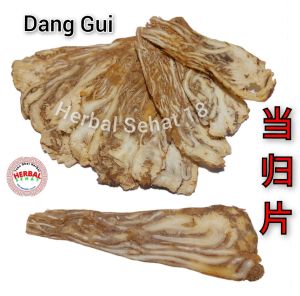 Quan Dang Gui Pian 25 gram Tang Kui Pian 全当归片 Tang Kwei Tangkui Tang Kwi Tong Kui Dang Gui Iris Utuh Dang Gui Pian / Tang Kui / Chinese Angelica Roots