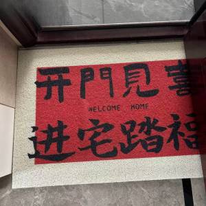 PH | Anti-slip Dust-removal Doormat