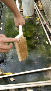 Chổi sắt chà sàn cọ rong rêu chổi cọ về sinh sân vườn