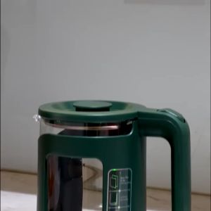 Ấm đun nước siêu tốc Điện Quang ĐQ EKT16 1515 MG ( 1500W 1.5L inox 201 thủy tinh cách nhiệt màu xanh rêu)