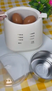 6 Mode Automatic Egg Cooker | Half-Boiled & Hard-Boiled Egg Maker | Electric Egg Steamer with Timer