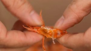 Tôm Khô Đất Cà Mau Nguyên Vỏ chất lượng cao giá tốt nhất giao nhanh- VỰA KHÔ PHI YẾN