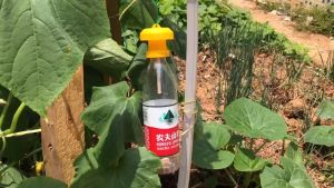5PCS Fruit Fly Trap Killer Alat Perangkap Hama Serangga Lalat Buah Untuk Kebun Pertanian