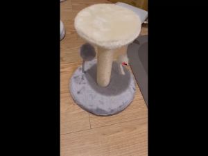 [COD]Garukan Kucing1tiyang Intertaktif- Cat Tree Kitten Cakaran Kucing Scratching Garukan Kucing Ukuran Besar | Mainan kucing cakaran